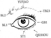 UB2 yy th23