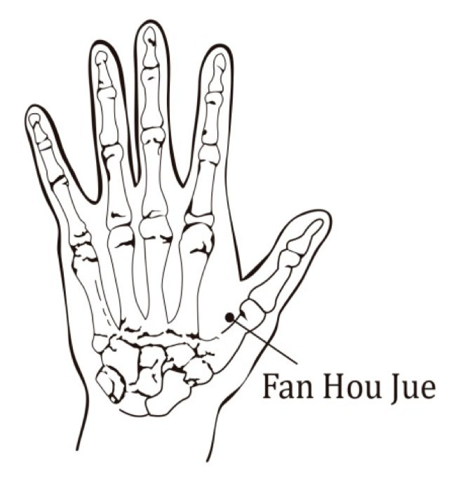 fan hou jue fan hou jue