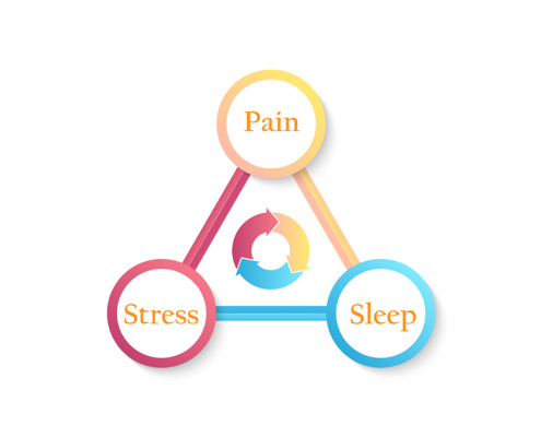 pain sleep stress primary cycle